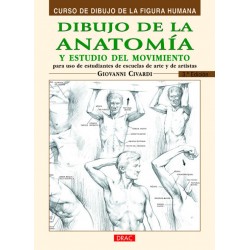 Dibujo De La Anatomía