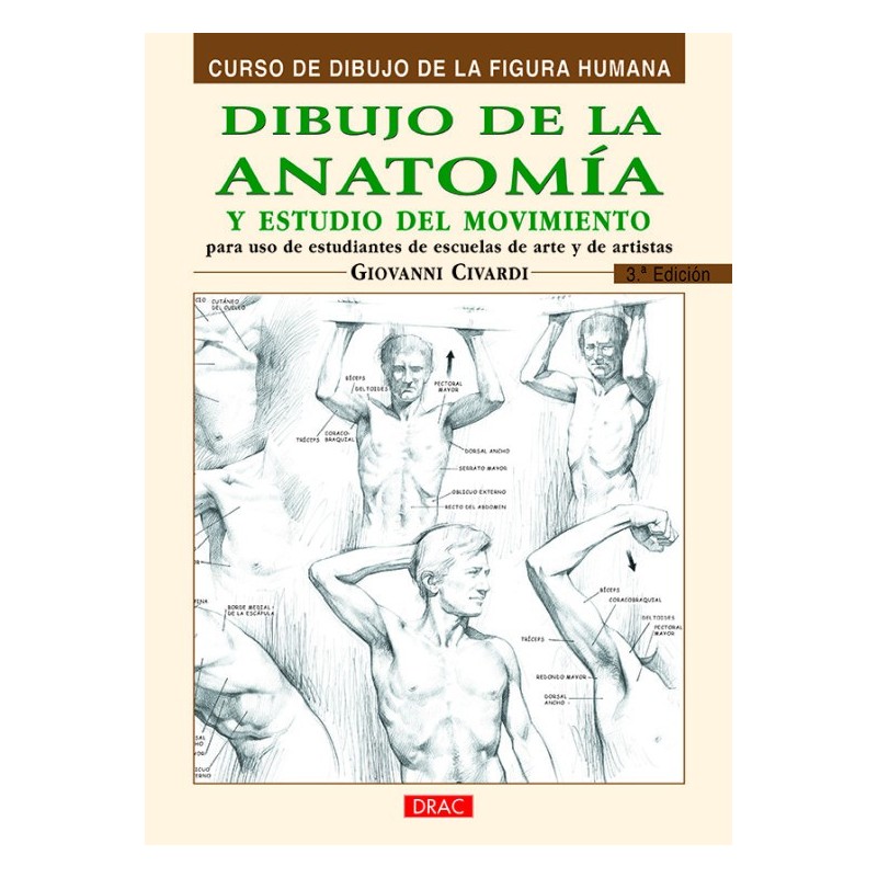 Dibujo De La Anatomía