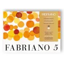 Blocco Fabriano5 300g Fabriano