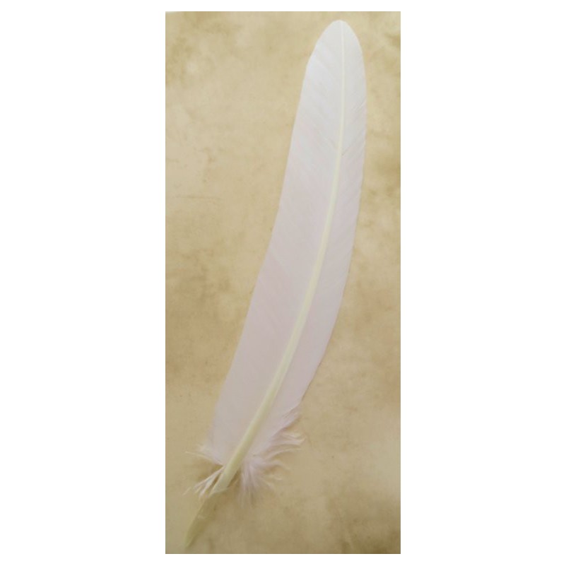 Plumas Oca Brause