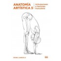 Anatomía Artística