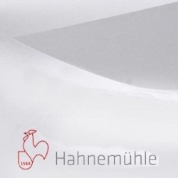 Papel 230GR Hahnmuhle