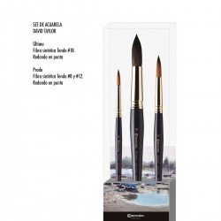 Escoda David Taylor Set di pennelli per acquerello Collezione Signature