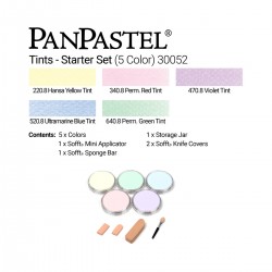 Sets 5 Panpastel + Sofft Tools