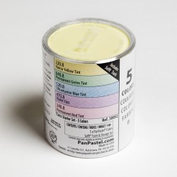 Sets 5 Panpastel + Sofft Tools