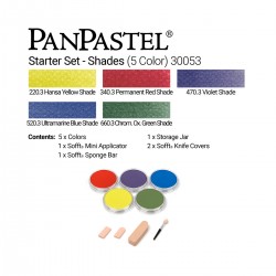 Sets 5 Panpastel + Sofft Tools