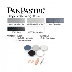 Sets 5 Panpastel + Sofft Tools