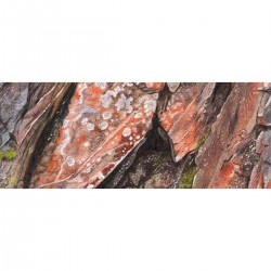Set di matite colorate Derwent Artists