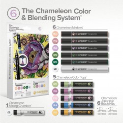 Set Rotuladores Chameleon  6+5