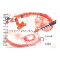 Aguada Studio Pad 350g Artista