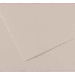 Cartulina Mi-Teintes 160g Canson