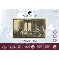 Blocco Annigoni 300g 1L...