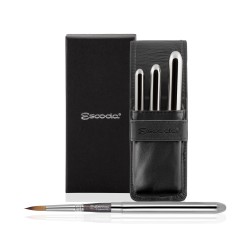 Set Pinceles Chronos