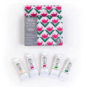 Set 5 Tubs Gouache W&N Designers 14 mL