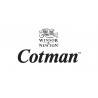 COTMAN - WINSOR & NEWTON